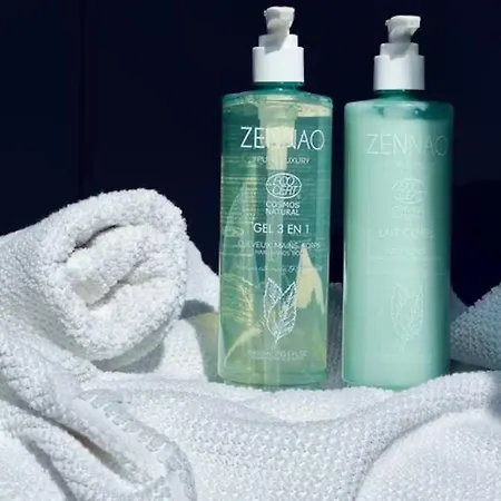 French Klss - By Prim0 C0nciergerie Clermont-Ferrand